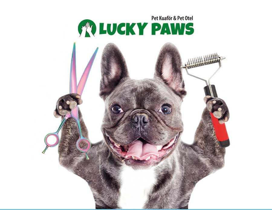 Lucky Paws | Pet Otel & Pet Kuaför